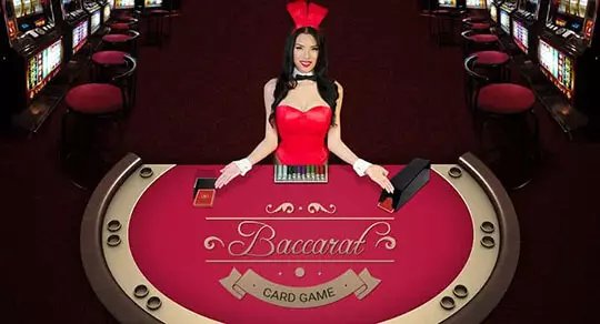 jilibet donnalyn casino login